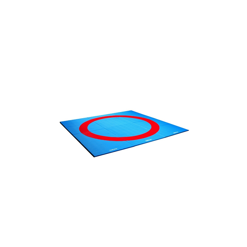Tapis de lutte initiation