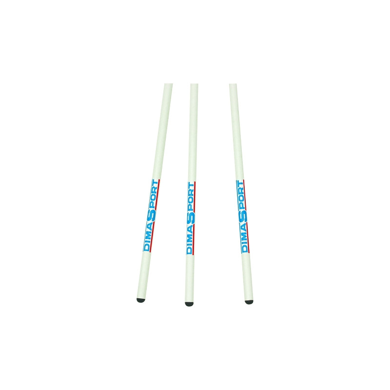 Perche fibre de verre initiation 2m
