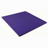 Surface d'evolution repliableorange abricot - epaisseur 4cm